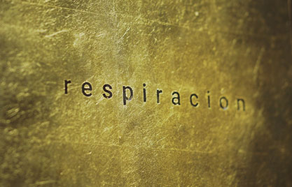 respiracion